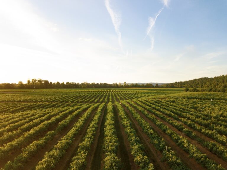 Photo Agriculture drones